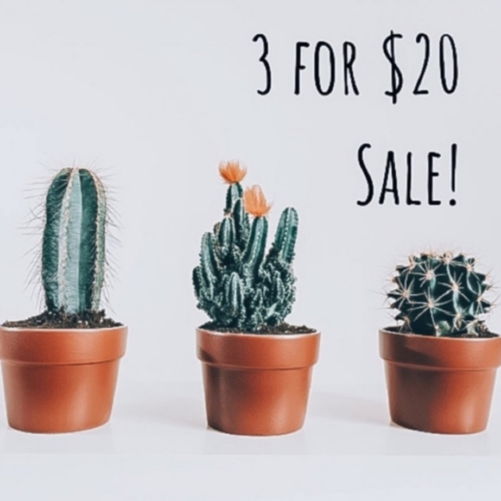 3 for $20 Sale